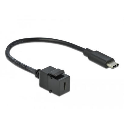 delock-keystone-modul-usb-5-gbps-type-c-buchse-zu-usb-type-c-stecker-mit-cable-25-cm
