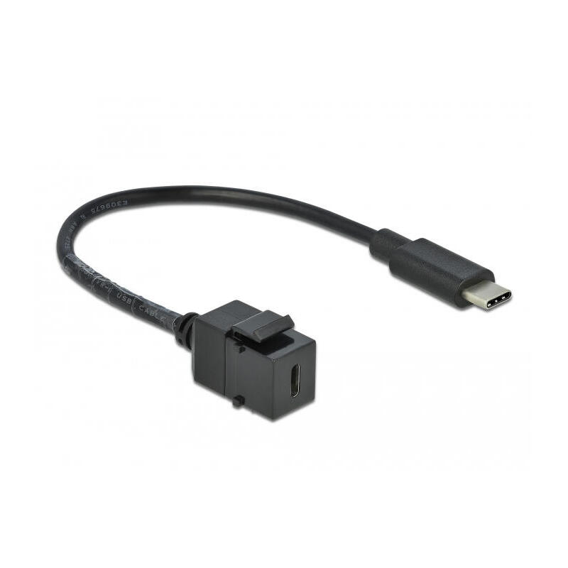 delock-keystone-modul-usb-5-gbps-type-c-buchse-zu-usb-type-c-stecker-mit-cable-25-cm