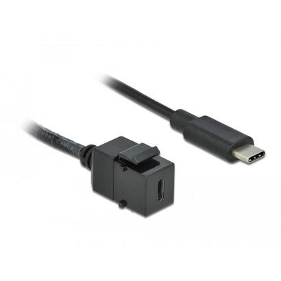 delock-keystone-modul-usb-5-gbps-type-c-buchse-zu-usb-type-c-stecker-mit-cable-25-cm