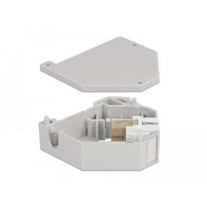 delock-hutschienenadapter-mit-keystone-sc-simplex-buchse-zu-sc-simplex-buchse-beige