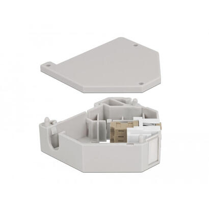 delock-hutschienenadapter-mit-keystone-lc-duplex-buchse-zu-lc-duplex-buchse-beige