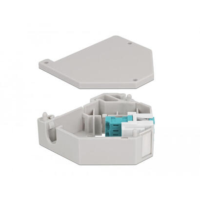 delock-hutschienenadapter-mit-keystone-lc-duplex-buchse-zu-lc-duplex-buchse-aqua