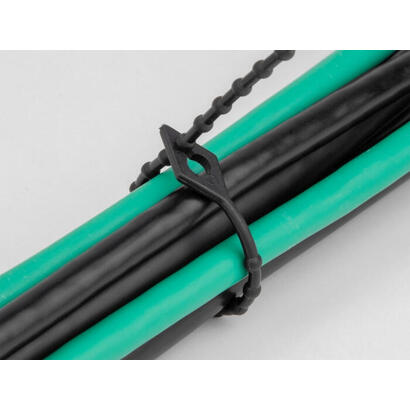 delock-blitzbinder-wiederverwendbar-l-150-x-b-24-mm-schwarz-100-stuck