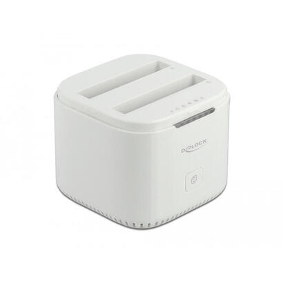 usb-type-c-32-dockingstation-fur-2-x-25-sata-hdd-ssd-mit-klon-funktion