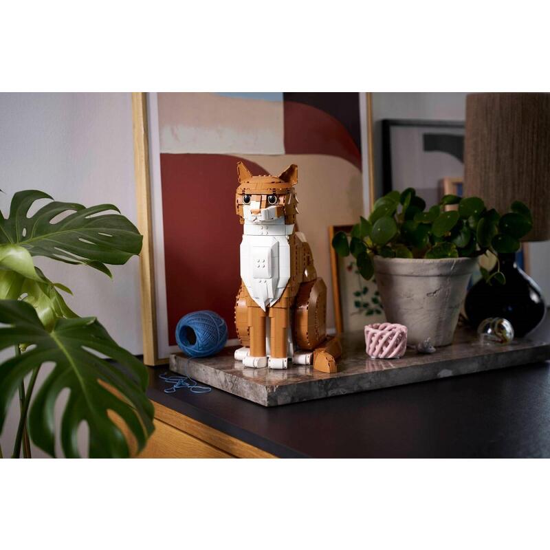 cideas-21376-gato-naranja