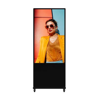 ds-d6055ut-ds-55-247-si-interior