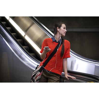 jbl-tune-210-in-ear-wired-headphones-gray-eu