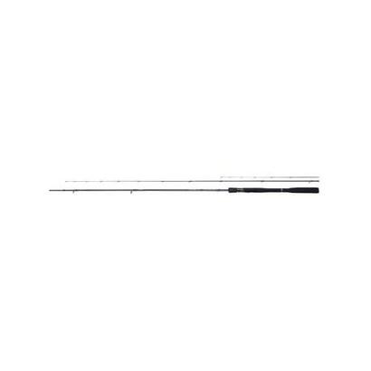 cana-shimano-aero-x1a-carp-feeder-305m-60g-2-cztips