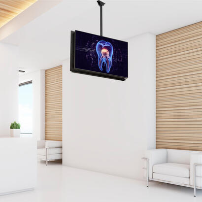 startechcom-soporte-de-techo-para-2-tv-soporte-vesa-de-colgar-de-alta-resistencia-para-2-pantallas-de-32-a-75-poste-telescopico-