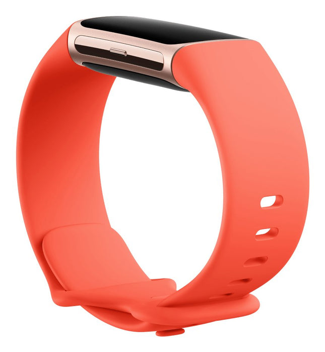 EAN 0840353901124 - Fitbit Charge 6 AMOLED Pulsera de actividad Oro imagen 2