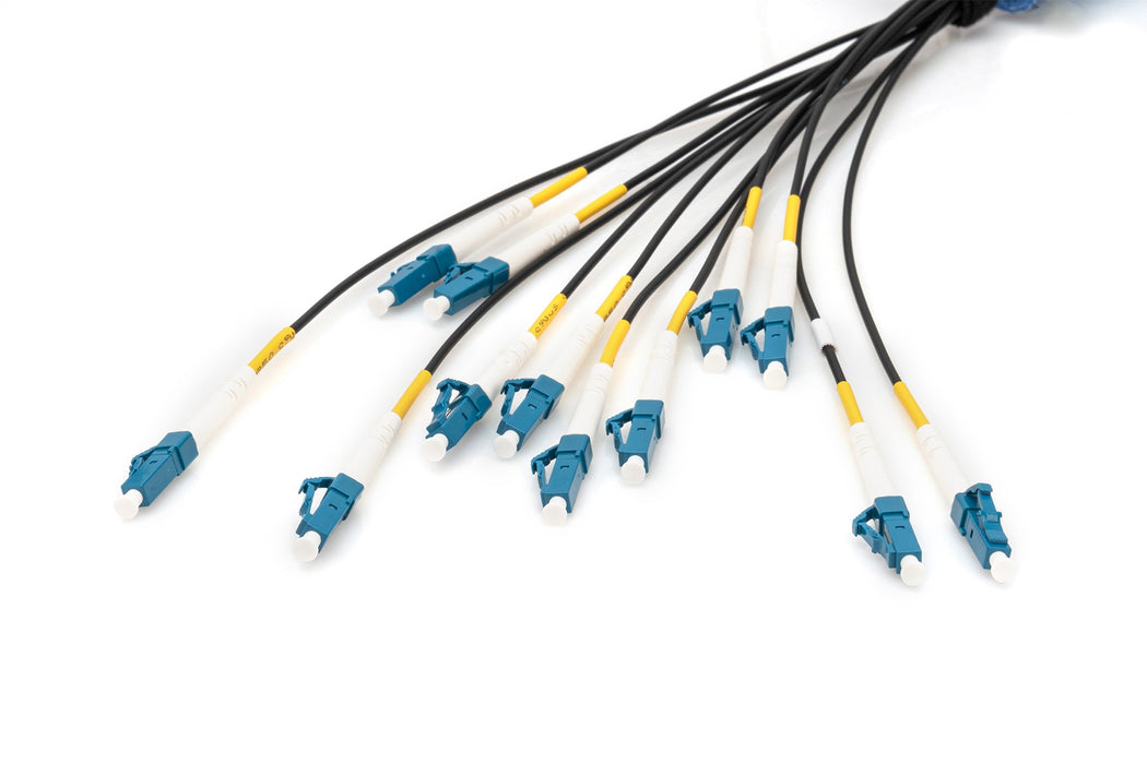 EAN 4016032485100 - Digitus DK-2A33CU030BK-BBB Cable de fibra óptica e InfiniBand 30 m U-DQ(ZN) BH Negro imagen 2