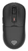 EAN 5901969444841 - GENESIS NMG-2193 ratón Juego Ambidextro Bluetooth + USB Type-C Óptico 26000 DPI imagen 1