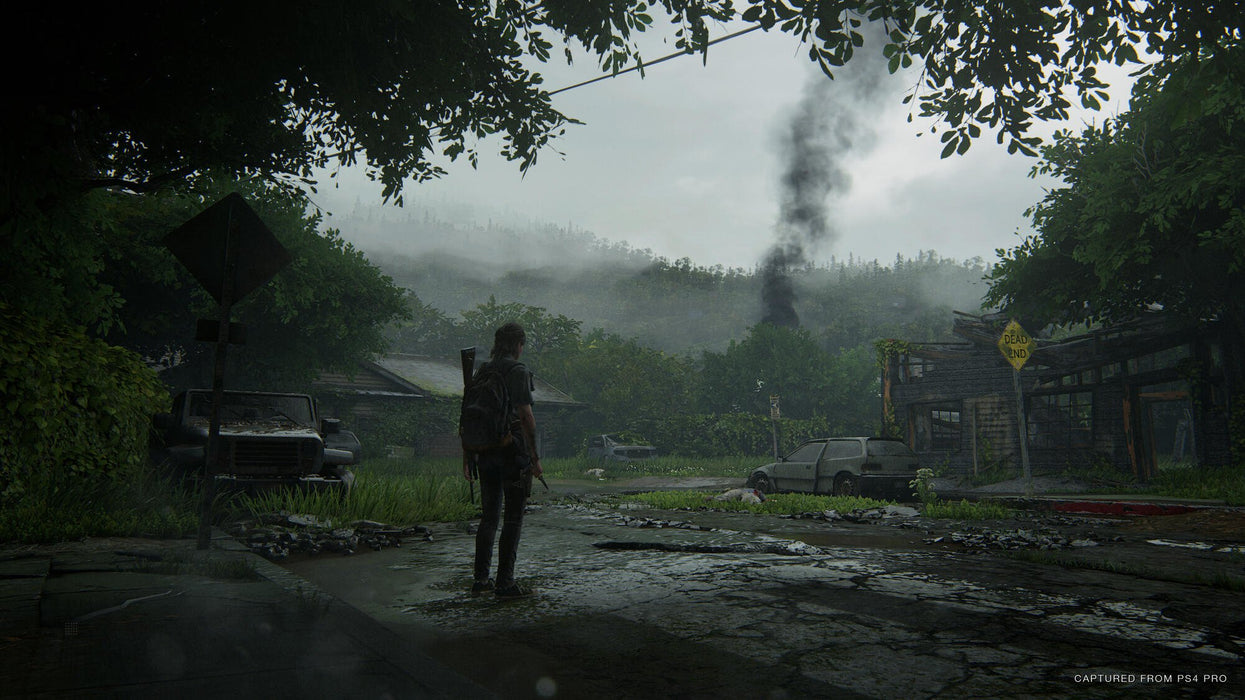 EAN 0711719330806 - Sony Interactive Entertainment The Last of Us Part II Estándar PlayStation 4 imagen 35