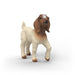EAN 4069111336602 - schleich FARM WORLD 14930 figura de juguete para niños imagen 1