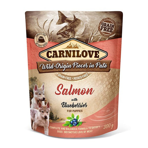 EAN 8595602537730 - Brit 8595602537730 alimento húmedo para perros Salmón Cachorro 300 g imagen 1