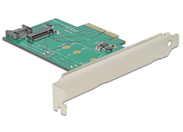 Delock 89381 Tarjeta Y Adaptador De Interfaz Interno M.2, Sata