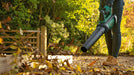 EAN 4059952546995 - Bosch AdvancedLeafBlower 36V-750 (1x2.0Ah) imagen 3