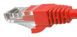 EAN 8697980469709 - Inca ICAT6-0.50K cable de red Rojo 0,5 m Cat6 U/UTP (UTP) imagen 3