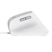 EAN 8713439253979 - Trust Bayo II ratón Oficina mano derecha USB tipo A Óptico 2400 DPI imagen 5