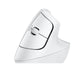 EAN 5099206099906 - Logitech 910-006477 ratón Oficina mano derecha RF Wireless + Bluetooth Óptico 4000 DPI imagen 3