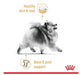 EAN 3182550908450 - Royal Canin Pomeranian Adult 1,5 kg Adulto imagen 4