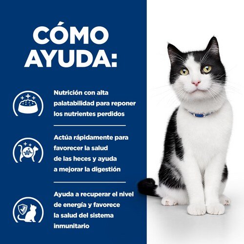 EAN 0052742043142 - Hills 605877 comida húmeda para gatos 3 kg imagen 3