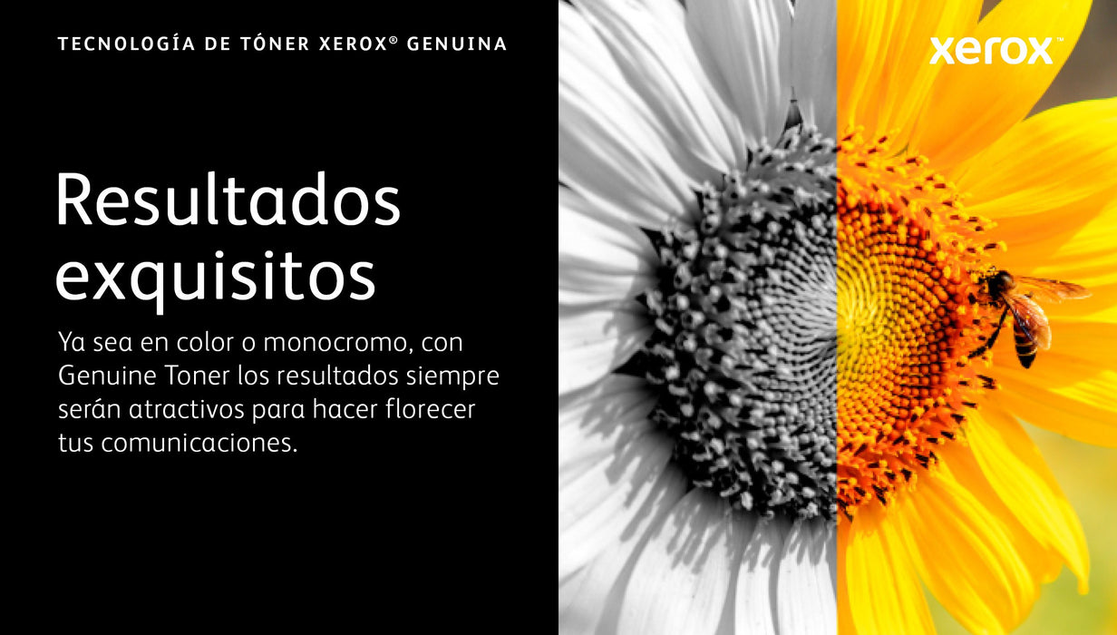 EAN 0095205037975 - Xerox 006R04625 cartucho de tóner 1 pieza(s) Original imagen 8