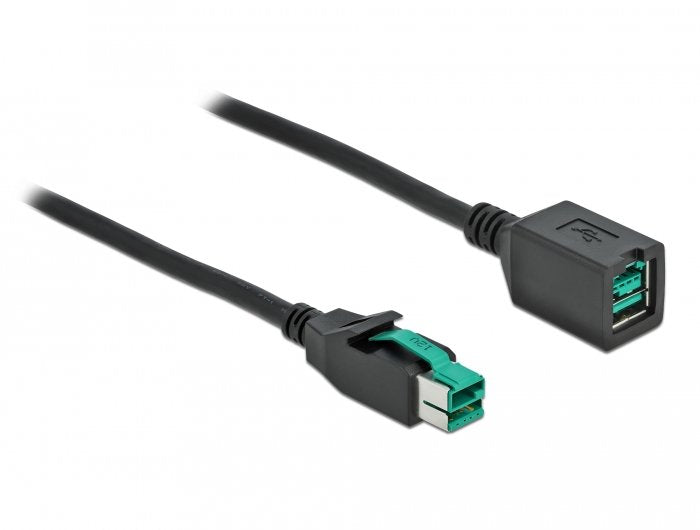 Delock Powerojousb Verlängerungscable 12 V 2 M