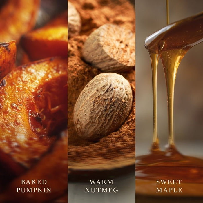 Woodwick Pumpkin Praline Vela Elipse Calabaza Marrón 1 Pieza(S)