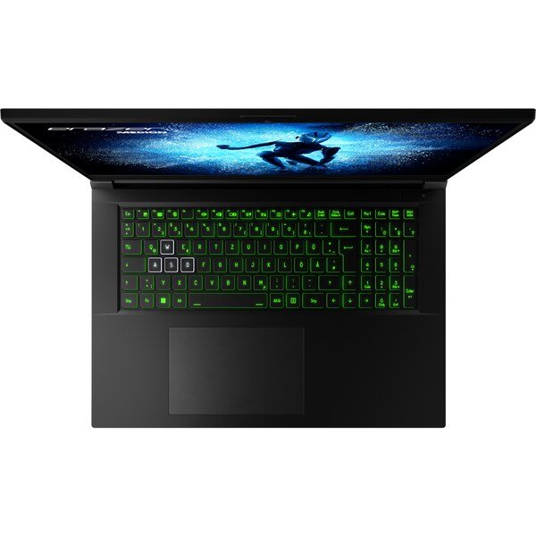 EAN 4061275211993 - ERAZER Defender P40 Intel® Core™ i7 i7-13700HX Portátil 43,9 cm (17.3") Quad HD 16 GB DDR5-SDRAM 1 TB SSD imagen 11
