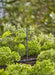 EAN 4078500059138 - Gardena 13322-20 rociador de agua Rociador de agua circular Plástico Negro imagen 5