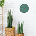 EAN 4009816034786 - TFA-Dostmann 60.3054.04 reloj de mesa o pared Reloj de cuarzo Círculo Verde imagen 2
