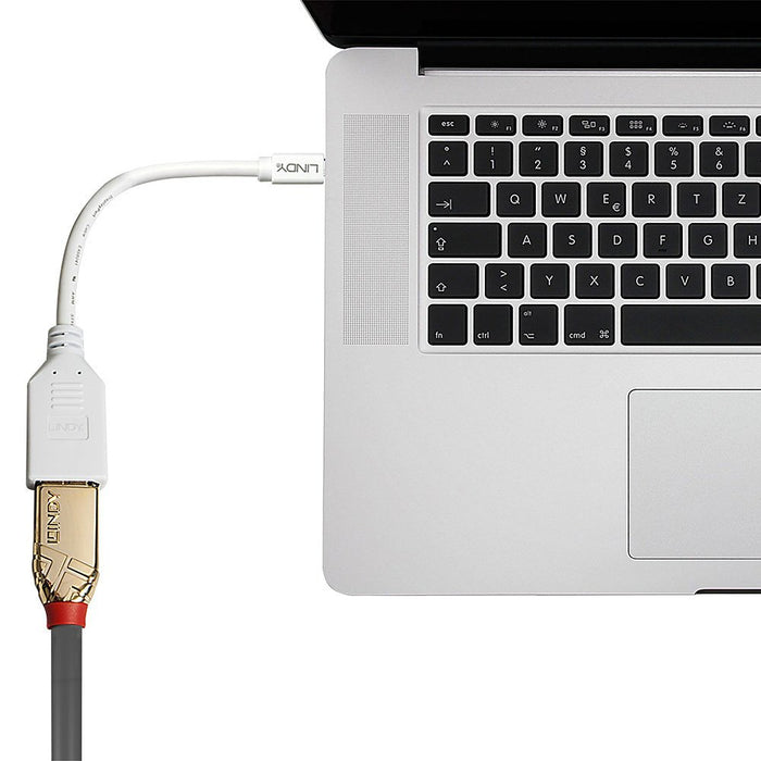 EAN 4002888410212 - Lindy 41021 cable DisplayPort 0,15 m Mini DisplayPort Blanco imagen 3