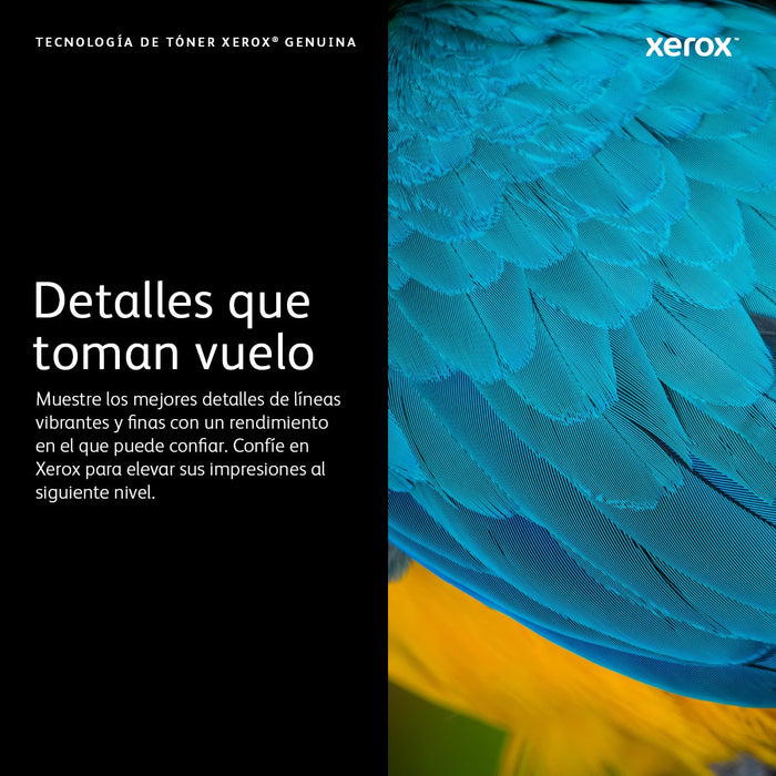 Xerox Toner Dmo B310 B310 Dni Negro Negro (006r04380) (8k)