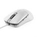 EAN 0195892041016 - Lenovo GY51H47351 ratón Juego mano derecha USB tipo A Óptico 8000 DPI imagen 1