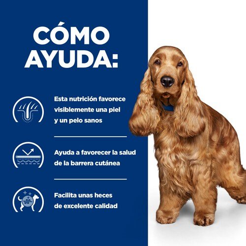 EAN 0052742040424 - Hills 605911 alimento húmedo para perros Pollo, Ternera Universal 3 kg imagen 3