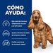 EAN 0052742040424 - Hills 605911 alimento húmedo para perros Pollo, Ternera Universal 3 kg imagen 3
