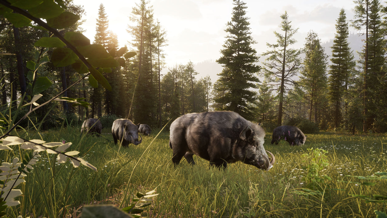 Juego Way Of The Hunter 2 Playstation 5
