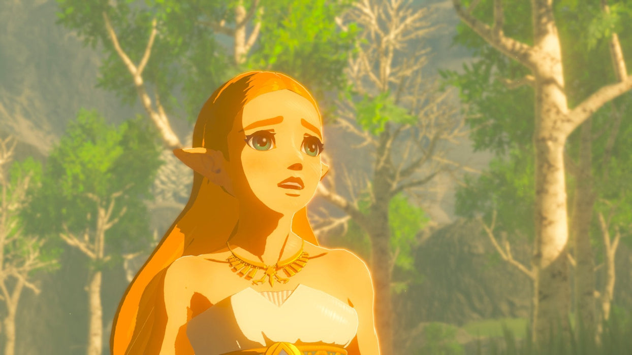 Switch The Legend Of Zelda Breath Of The Wild