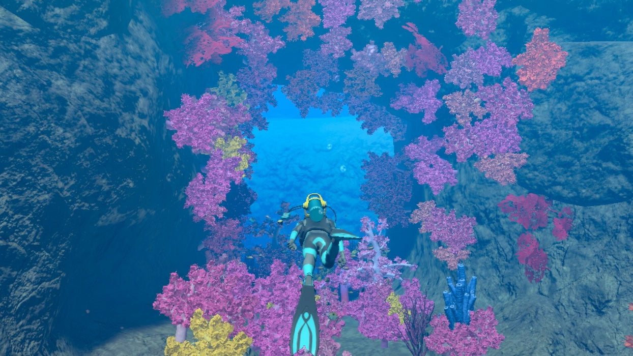 Switch Endless Ocean Luminous