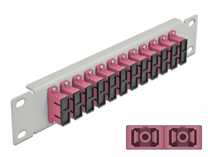 Delock 10" Patch Panel Fibra Óptica 12 Puertos Sc Duplex Violeta 1 U Gris