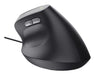 EAN 8713439251449 - Trust Bayo II ratón Mano derecha USB tipo A 2400 DPI imagen 7