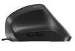 EAN 8431775034983 - Nilox MOUSB3013 ratón Oficina USB tipo A Óptico 3600 DPI imagen 3