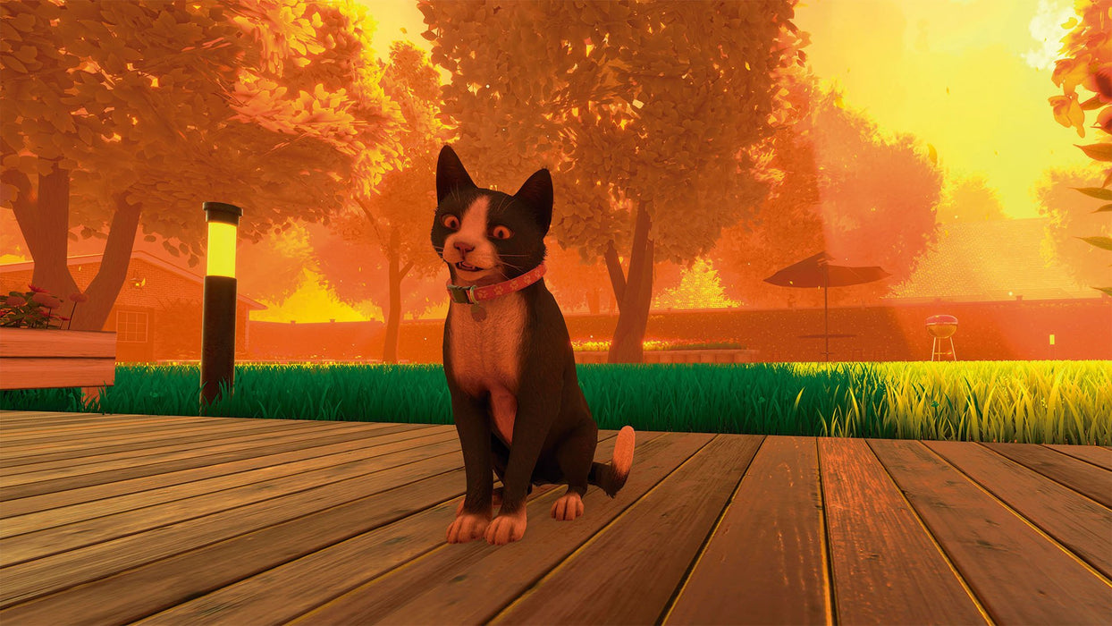 EAN 8436016712705 - Tesura Games Copycat imagen 13