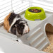 EAN 8010690101583 - Ferplast Cavie 80 Cobaya Blanco imagen 3