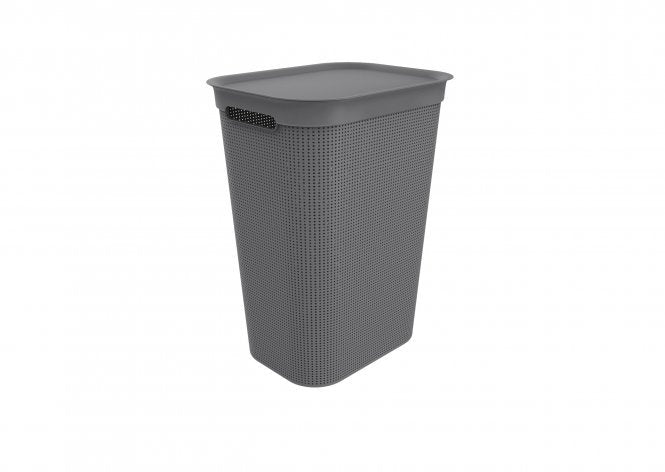 EAN 7610859199096 - Rotho Brisen 50 L Rectangular Plástico Antracita imagen 1