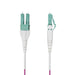 EAN 65030920759 - StarTech.com OM4RLCLC2M Cable de fibra óptica e InfiniBand imagen 2