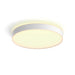 EAN 8718696176474 - Philips Hue White ambiance 4116131P6 Luz de techo inteligente Bluetooth/Zigbee 48 W imagen 1