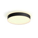 EAN 8718696176467 - Philips Hue White ambiance 4116030P6 Luz de techo inteligente Bluetooth/Zigbee 33,5 W imagen 1