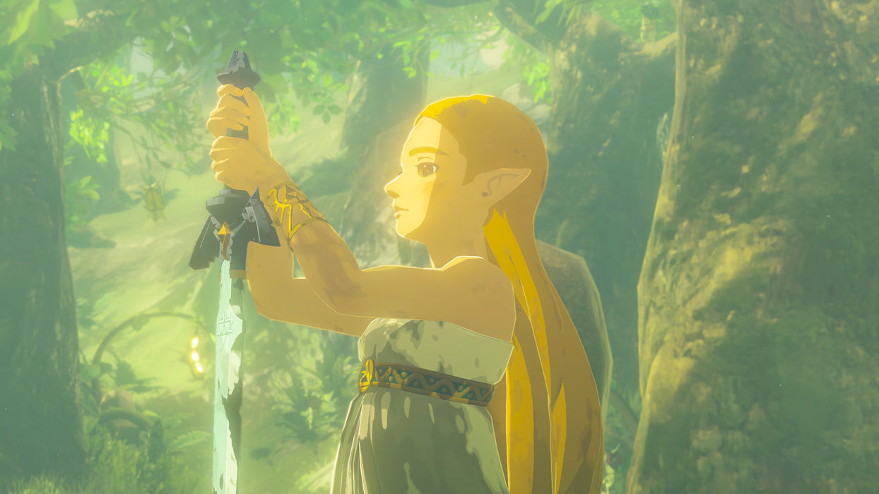EAN 0045496312725 - Nintendo The Legend of Zelda: BOTW, Switch 2 Edición Nintendo Switch 2 Plurilingüe Nintendo Switch 2 imagen 10